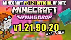 Minecraft 1.21.90.20 1
