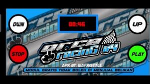 Orca Racing 1