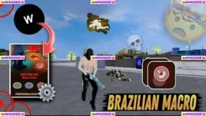 Brazilian Macro 3